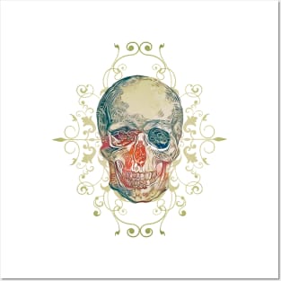 Floral skull Posters and Art